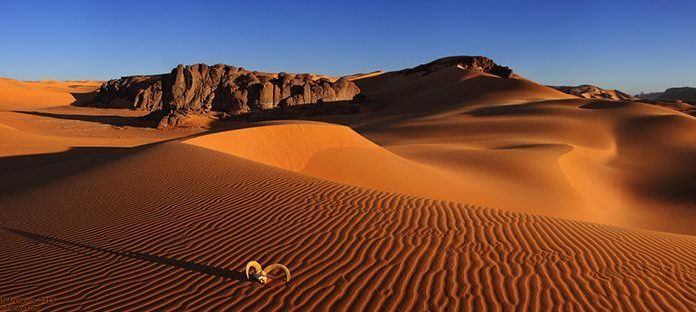 Пустыня Сахара