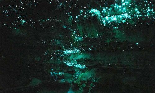 Пещера Светлячков